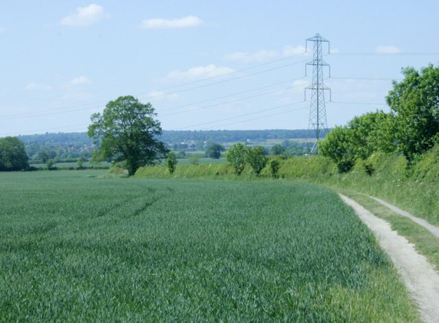 A rural landscape with a green field, a dirt path, trees, and a distant power line tower.