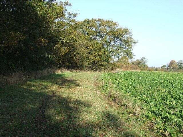 Field Boundary Footpath looking north leading to Thrandeston, Suffolk.