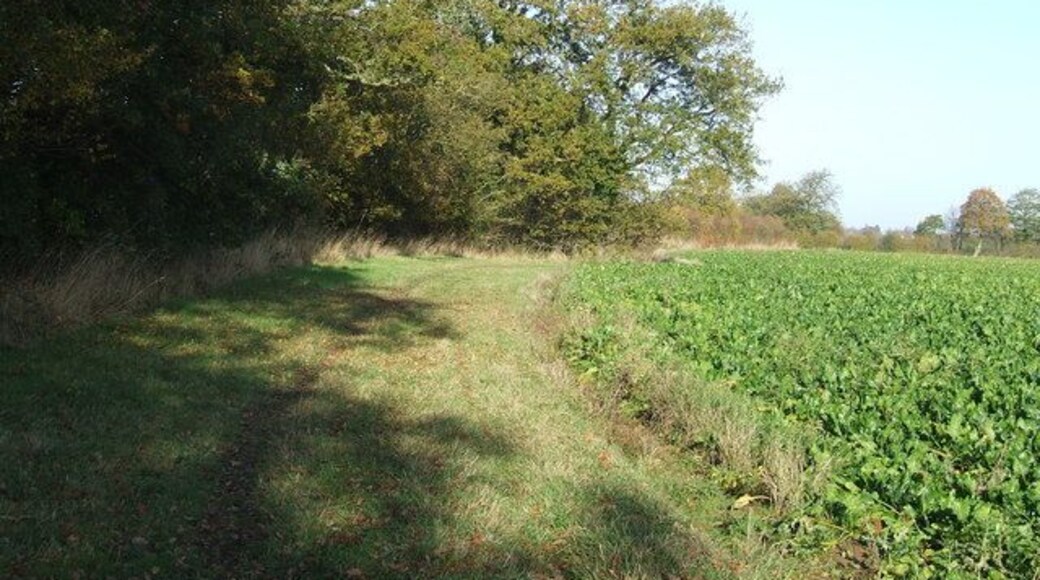 Field Boundary Footpath looking north leading to Thrandeston, Suffolk.