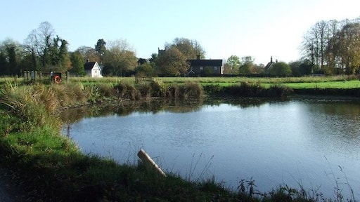 Village Pond Village pond Thrandeston, Suffolk.