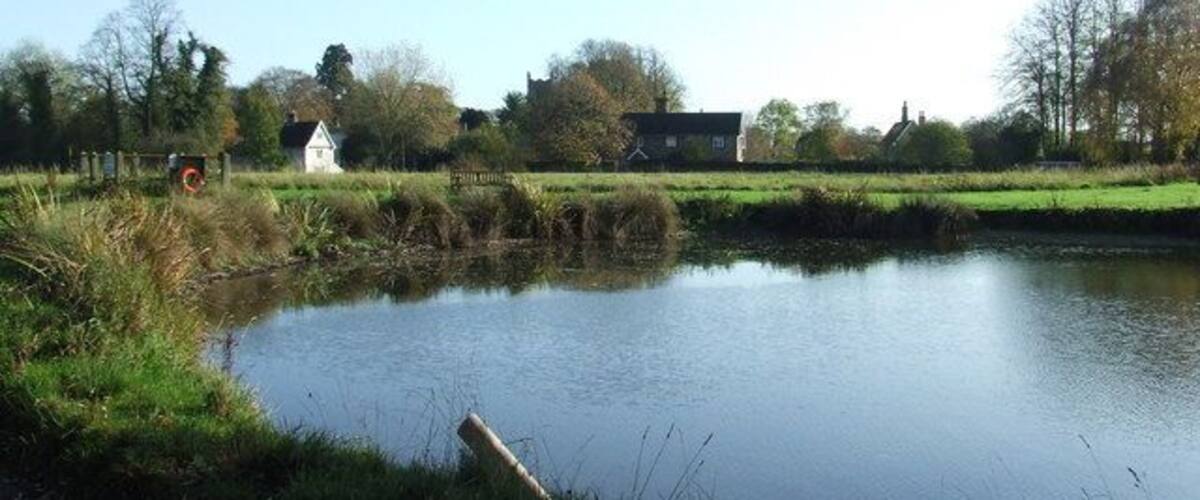 A calm pond with a wooden structure in the foreground, surrounded by grassy banks and trees.