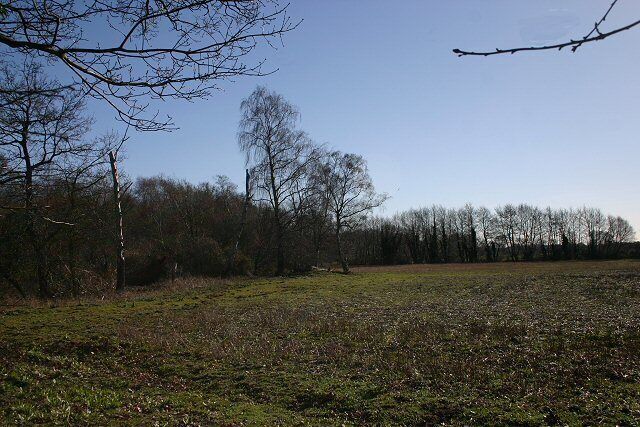 Raydon Common and Plantation Looking south-east from the B1111 between Hopton and Garboldisham.