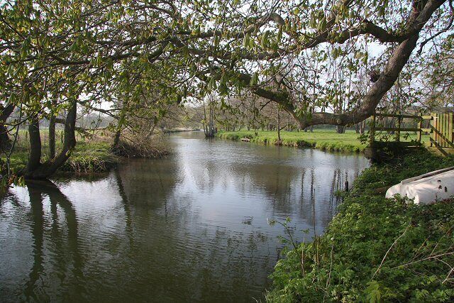 River Waveney and upper millpool The river branches at this point; the main river flows to the right of this photo, through sluice gates. In front is the upper millpool, where the water is about to race through the site of the former mill.