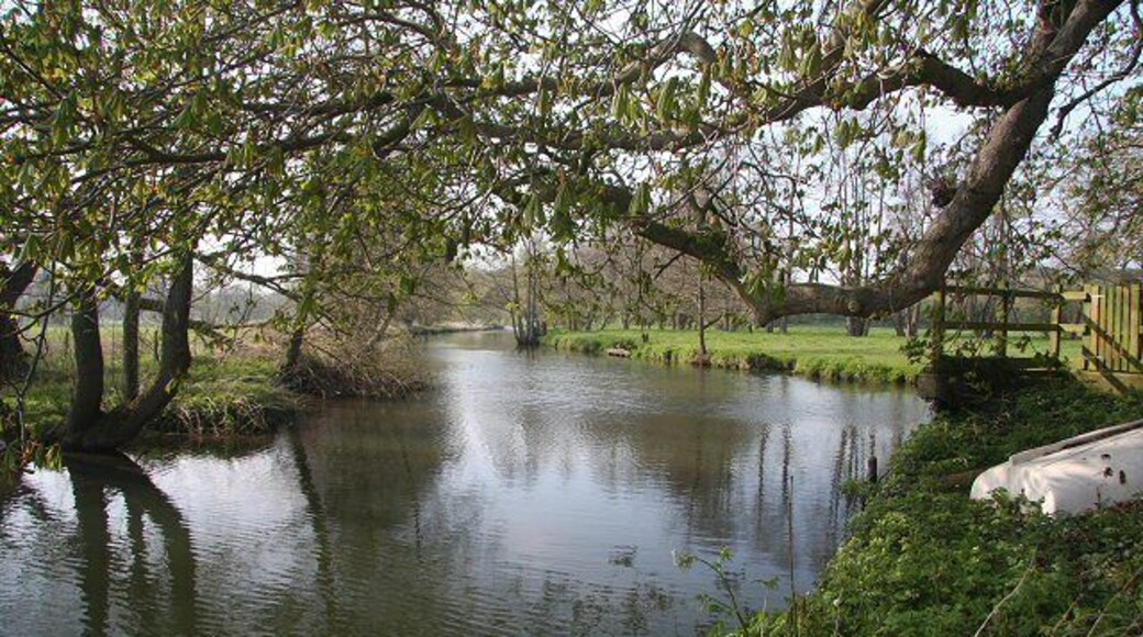 River Waveney and upper millpool The river branches at this point; the main river flows to the right of this photo, through sluice gates. In front is the upper millpool, where the water is about to race through the site of the former mill.