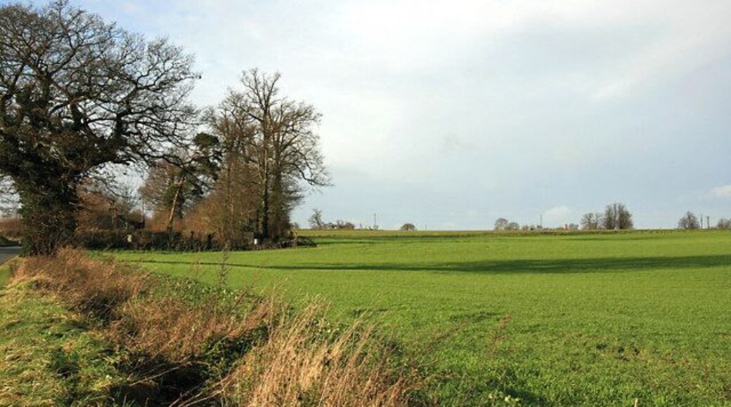 Field on the western approach to Rickinghall