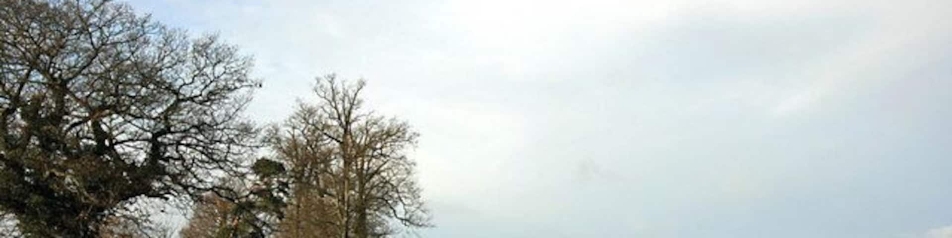 Field on the western approach to Rickinghall