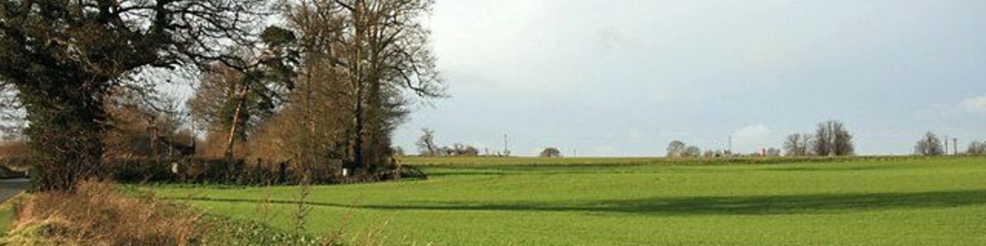 Field on the western approach to Rickinghall