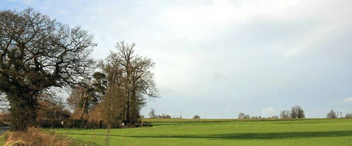A green field with trees and a cloudy sky.