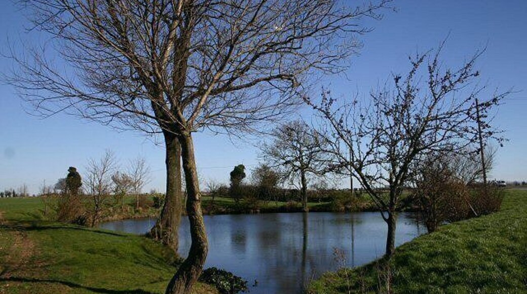 Pond near Garboldisham This pond is situated on the north side of the A1066, east of Garboldisham, at the junction of Broadway Lane and Smallworth Lane.