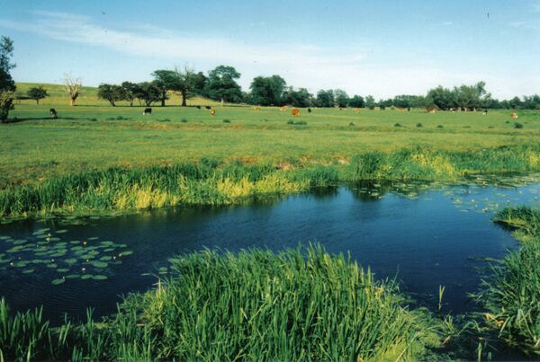 River Waveney and meadows between Brome and Scole.  forming the Suffolk-Norfolk county boundary.