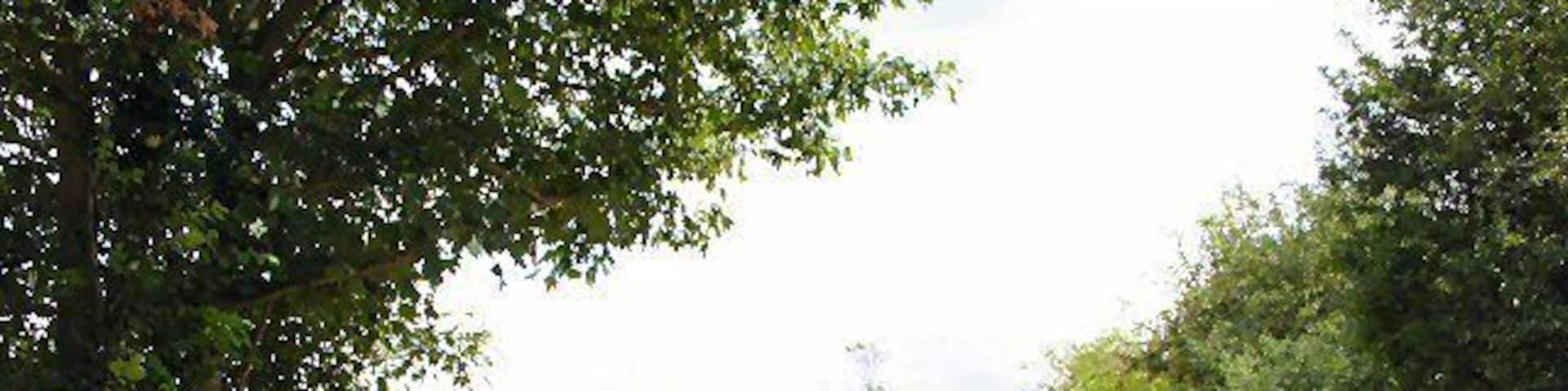 Wood Lane, Hepworth. A byway leading to a private house.