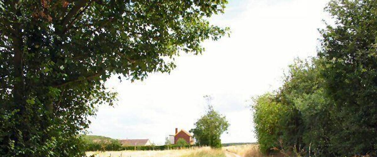 A rural dirt road flanked by greenery and a distant red building.