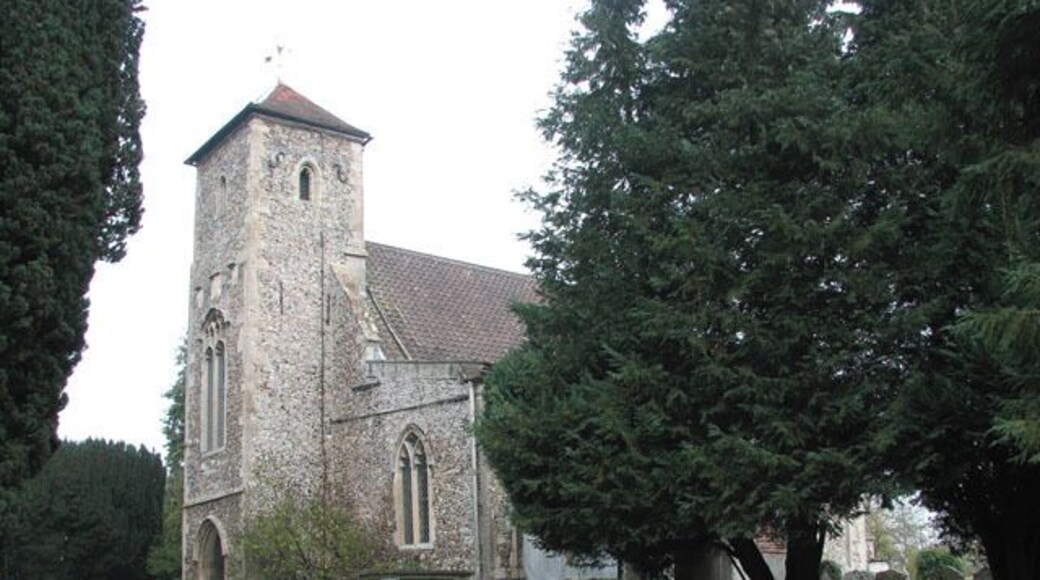 St Andrew's church The historian Francis Blomefield (1705-1752) was born and is buried in the village of Fersfield > https://www.geograph.org.uk/photo/1576775. He was the eldest son of Henry and Alice Blomefield, who were yeomen farmers. Ordained in 1729, Blomefield became Rector of Fersfield. The passion of his life was collecting and studying old manuscripts and it was from Fersfield that he published his acclaimed 'History of Norfolk' St Andrew's church > https://www.geograph.org.uk/photo/1576756 - https://www.geograph.org.uk/photo/1576771 built of flint and freestone, dates from the 13th century. The oldest feature of the church is the font > https://www.geograph.org.uk/photo/1576792 which is believed to be 12th century. Beside it, in a glass case in the lady chapel, lies the painted wooden effigy of Sir Robert Du Bois > https://www.geograph.org.uk/photo/1576795 who died in 1311. The figure is carved out of a single piece of oak and what remains of the paint is believed to be original. The effigy is universally acknowledged as being one of the finest examples of its kind and was a showpiece at the Age of Chivalry exhibition in London in 1987. A stone effigy of the church's first priest, William Du Bois, lies in the north-east corner of the chancel > https://www.geograph.org.uk/photo/1576783. The chancel panelling and reredos > https://www.geograph.org.uk/photo/1576785 are of Jacobean oak, the centre piece of the reredos is an iron cast reproduction of Leonardo da Vinci's 'Last Supper'. The east window contains three medieval stained glass roundels > https://www.geograph.org.uk/photo/1576788 depicting saints.