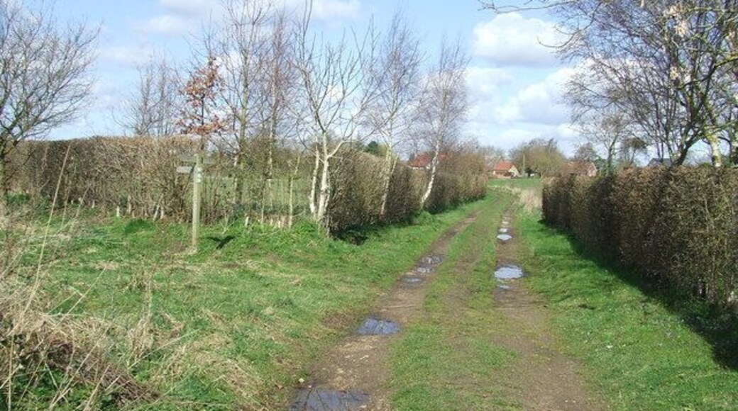 Footpath Junction Footpath junction looking north near to Hopton, Suffolk.