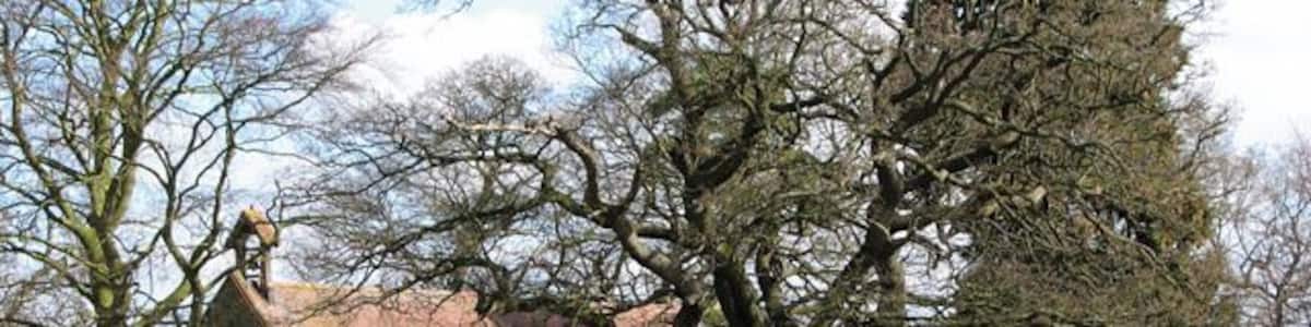 St Andrew's church in Thelveton This view was taken from Boudica's Way. Boudica's Way leads past the churchyard of St Andrew's church in Thelveton: coming from Norwich Road it crosses Church Road, passing the Grange and following Burston Road westwards until it turns off, leading across fields, to Frenze Hall, and to Diss from there. Boudica's Way is a 40-mile footpath that links Norwich and the market town of Diss on the Suffolk borders. The name Boudica (often spelled 'Boadicea', which was the Victorian version or 'Boudicca', used by Tacitus) derives from the Celtic 'bouda' which means victory. Boudica was the wife of the Icenian king Prasutagus. When he died his kingdom was annexed by the Romans, Boudica was flogged and her daughters raped. In AD 60 or 61 Boudica led the Iceni, along with others, in revolt. They destroyed Camulodunum (Colchester) and the site of a temple to the former emperor Claudius. Boudica was defeated in the end and is reported by Tacitus to have poisoned herself. The site where she is buried is unknown. St Andrew's church > https://www.geograph.org.uk/photo/1764785 is situated at a picturesque spot of the Thelveton Estate, bordered by fields and a cattle pasture. Boudica's Way long distance footpath > https://www.geograph.org.uk/photo/1764759 leads past the churchyard. The building - an estate church rather than a parish church - is of Norman origins but has been extensively restored by the Mann family, Lords of the Manor, from the late 1800s onwards. The tower collapsed in 1757 and has not been replaced, the furnishings date from the C19 restoration and the marble reredos > https://www.geograph.org.uk/photo/1764847 with mosaic inlay dates from that time. The chancel also houses a wall memorial to Thomas Mann (1886) > https://www.geograph.org.uk/photo/1764859 which was made by C Stoatt. The Mann family owns the estate to this day. The east window > https://www.geograph.org.uk/photo/1764855 was presented in 1899 in memory of Thomas Mann and his wife. The stained glass windows > https://www.geograph.org.uk/photo/1764864 are of very good quality, unfortunately noboby could tell me who made them. The octagonal font > https://www.geograph.org.uk/photo/1764872 is C15 and a large royal arms for Charles I (1620s) > https://www.geograph.org.uk/photo/1764874 hangs above the south doorway.