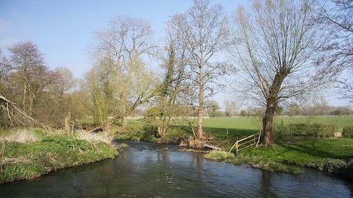 Lower millpool, Weybread The water in the millpool re-joins the River Waveney just beyond this point.