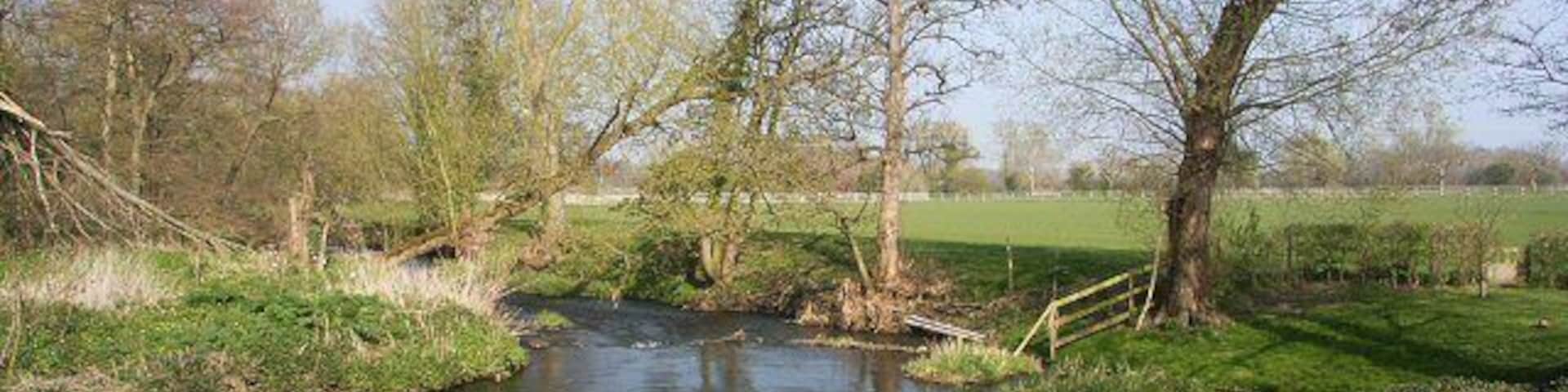 Lower millpool, Weybread The water in the millpool re-joins the River Waveney just beyond this point.