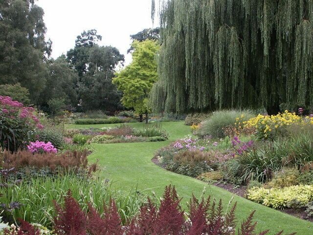 A landscaped garden with a variety of plants, a weeping willow tree, and a well-maintained lawn.
