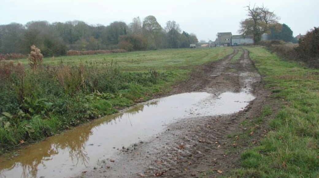 Footpath from North Lopham approaching Fersfield