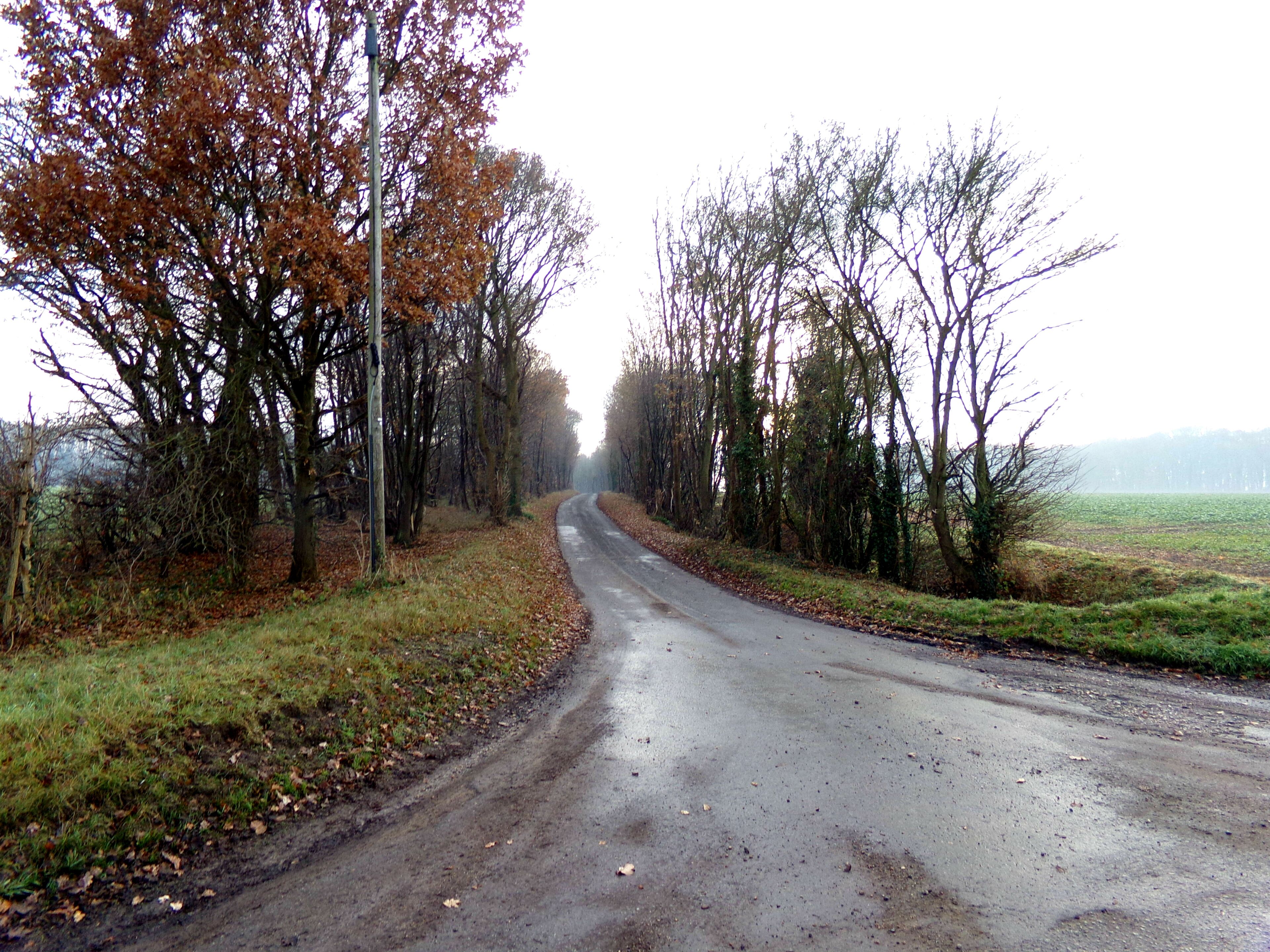 Park Farm Lane, Chickering