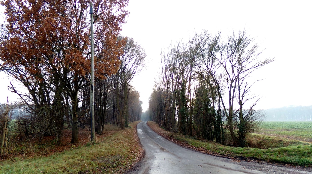 Park Farm Lane, Chickering