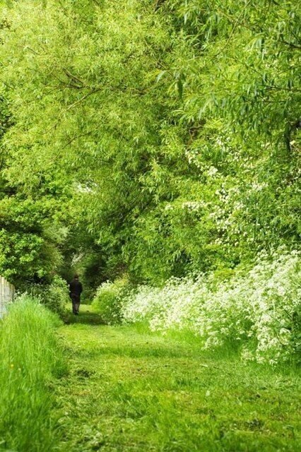 Green Lane, Botesdale This right of way is designated a footpath and is the full width of the track. It leads for about two hundred yards between fields which were once used by local public houses for grazing horses. There is no through route. A previous owner tried and failed to obtain planning permission for several dwellings. This and adjoining land is protected as a "Visually Important Open Space".