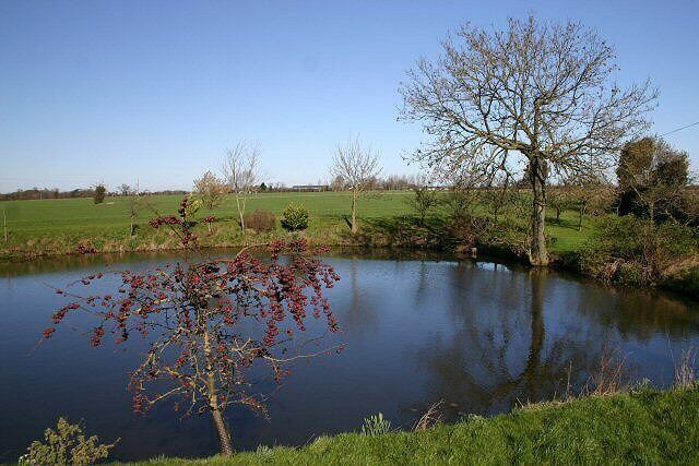 Pond near Garboldisham Another view of 355210, from the south.