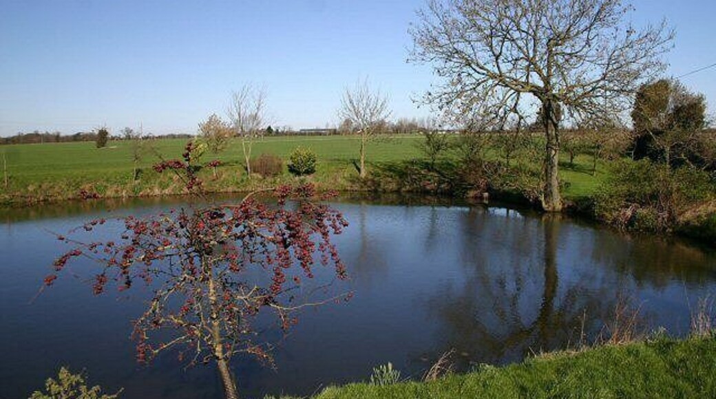 Pond near Garboldisham Another view of 355210, from the south.