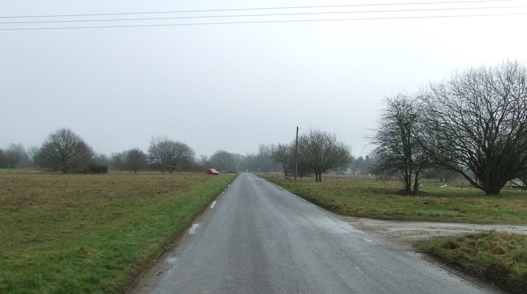 Wortham Part of the common at Wortham, Suffolk.