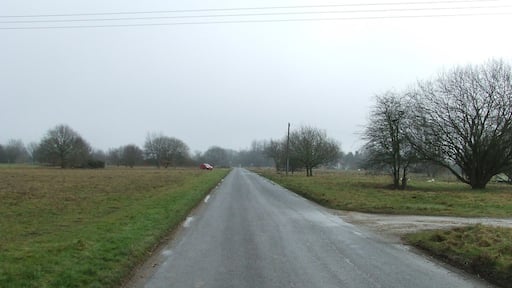 Wortham Part of the common at Wortham, Suffolk.