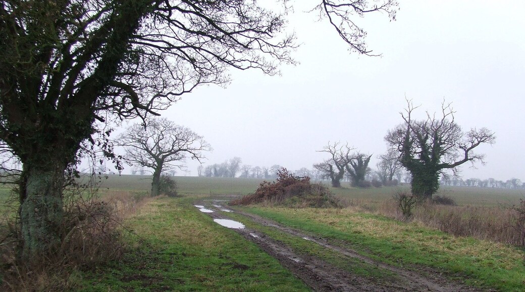 Footpath Footpath near to Fersfield, Norfolk.