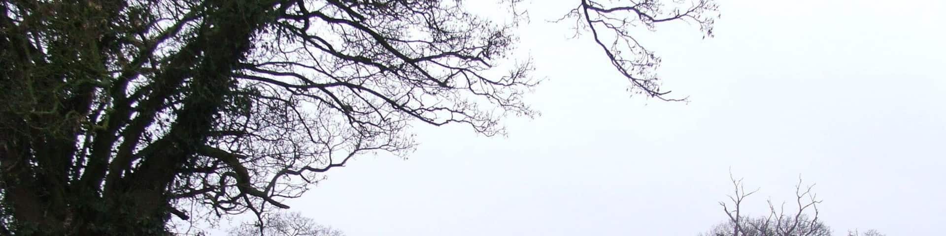 Footpath Footpath near to Fersfield, Norfolk.