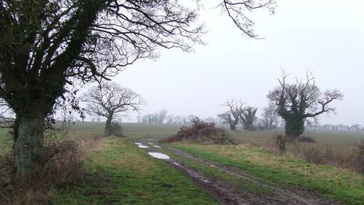 Footpath Footpath near to Fersfield, Norfolk.