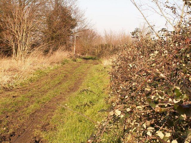 Green Lane Near the end of a green lane in Thrandeston Suffolk.