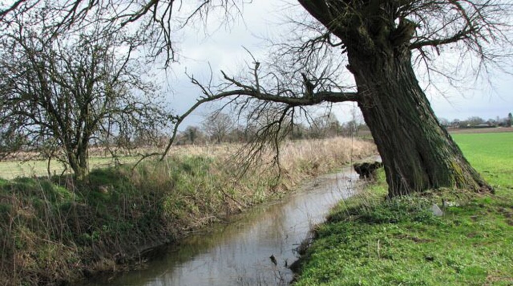 Ditch in fields north of Rectory Road. The public footpath leading along here links Rectory Road > 1774113 in the village of Dicklebury with Lonely Road in the hamlet of Dickleburgh Moor, further to the north-east. The path leads past the sewage works > 1774572 following the course of meandering ditches > 1774581 between cultivated fields.