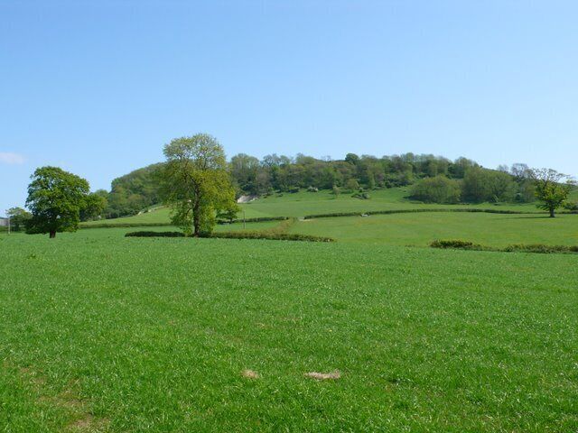 Nettlecomb Tout View south east from the bridle path leading from Armswell Farm up to the Iron Age hill fort.
