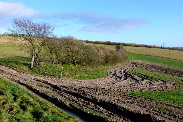 Farmland near Askerswell View SE across the square from the Spyway road