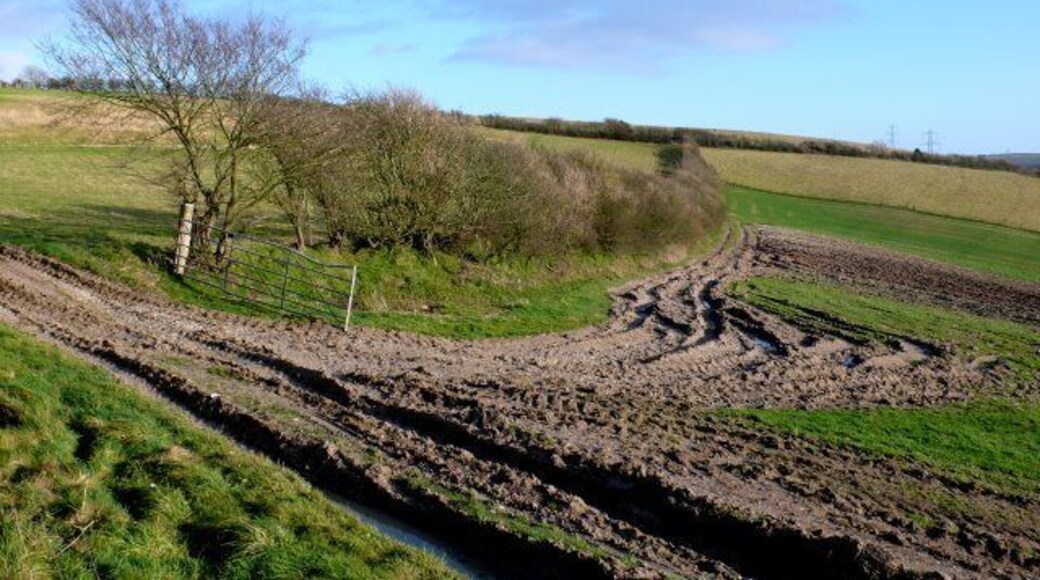 Farmland near Askerswell View SE across the square from the Spyway road