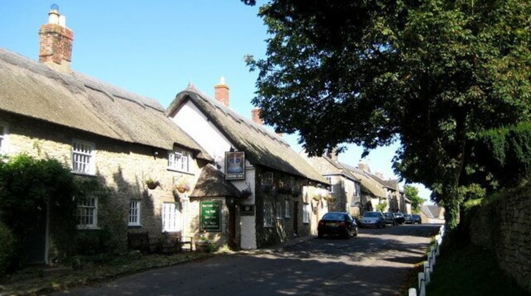 Leafy Church Street - Puncknowle The tall trees growing above in the churchyard opposite provide these thatched cottages and the pub with shade during the afternoon in the summer months.