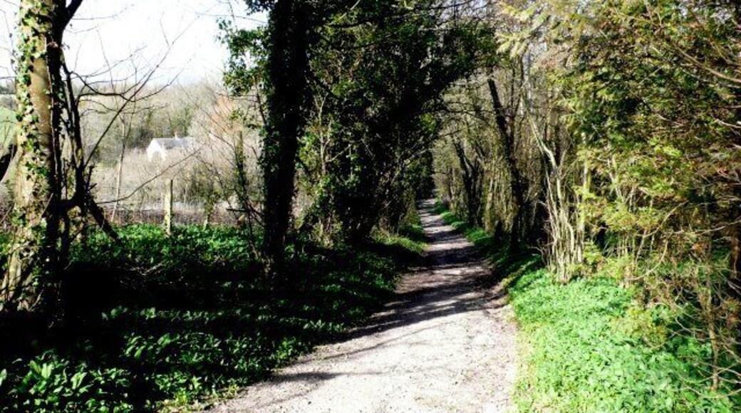 Bridle Path at Steppes farm This short track lies just west of the farm and joins the track running along Church Bottom with the one running north from Town Hill Farm.