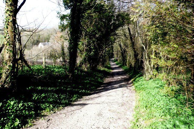 A narrow dirt path surrounded by dense trees and greenery.