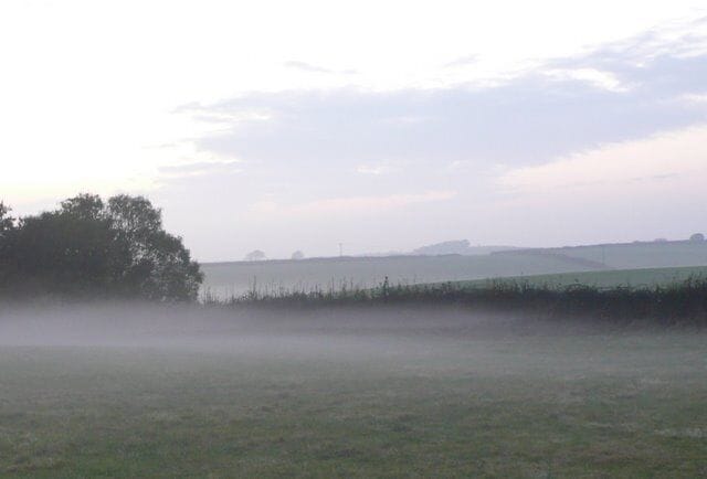 Layers of mist at Yellowham woods The mist formed quite quickly towards the end of the afternoon in very distinct layers a few feet above the ground and by bending ones knees one could look under the layers or over them.