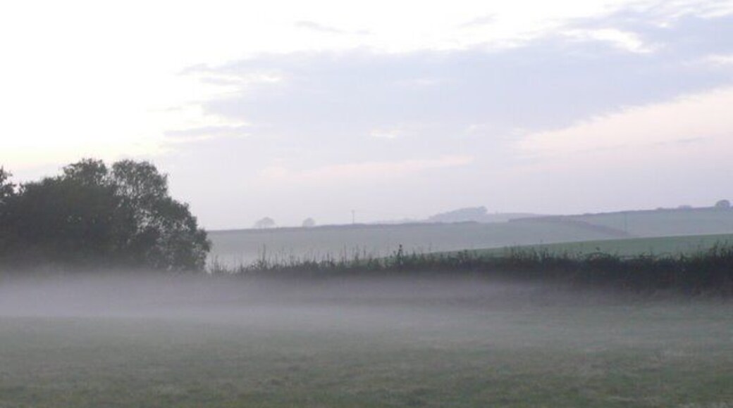Layers of mist at Yellowham woods The mist formed quite quickly towards the end of the afternoon in very distinct layers a few feet above the ground and by bending ones knees one could look under the layers or over them.