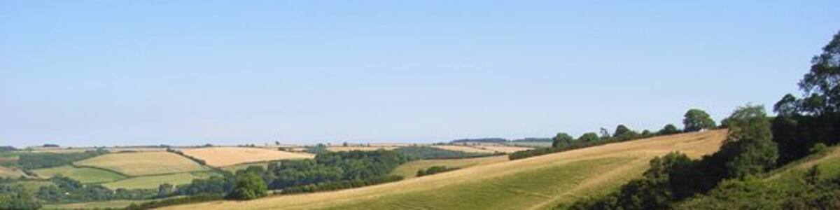 Downland, Sydling St Nicholas Access land just below the A37.