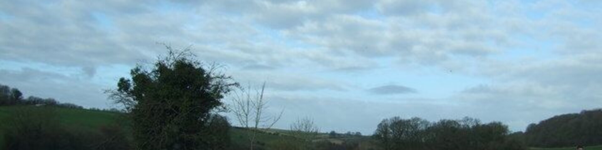 Sydling Valley with river alongside the road A lovely unspoilt valley teeming with wild life, although only a cyclist in view