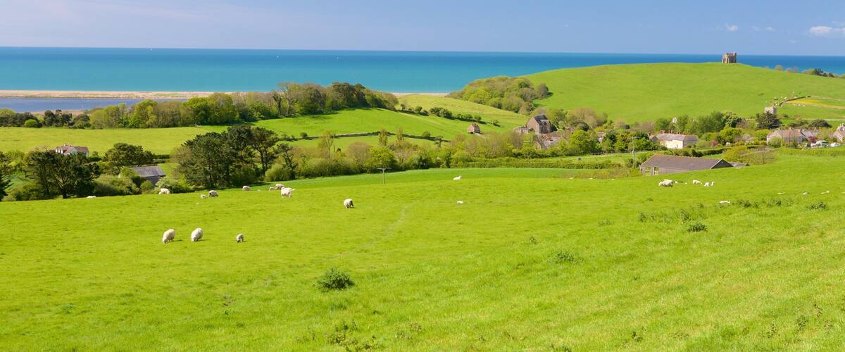 Dorchester showing tranquil scenes and general coastal views
