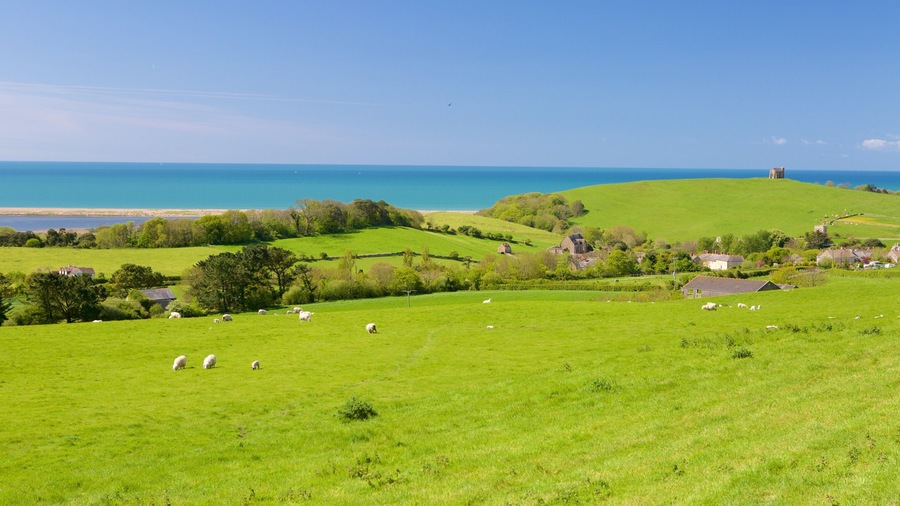 Dorchester showing tranquil scenes and general coastal views