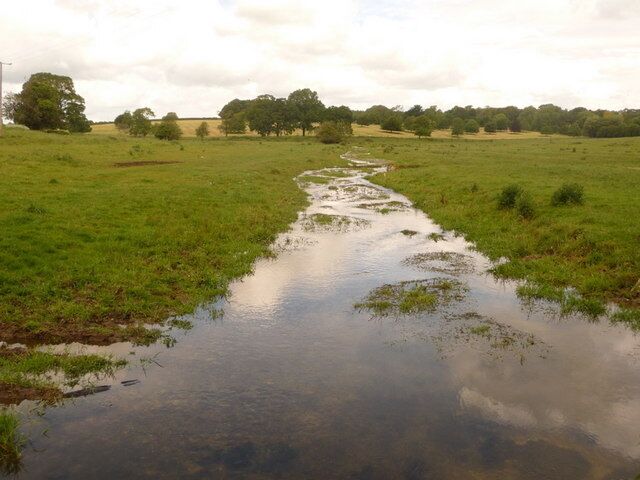 Dewlish: Devils Brook approaches Crawthorne The stream has flowed through Dewlish and the Dewlish House grounds, and here approaches the road-bridge at Crawthorne Farm.