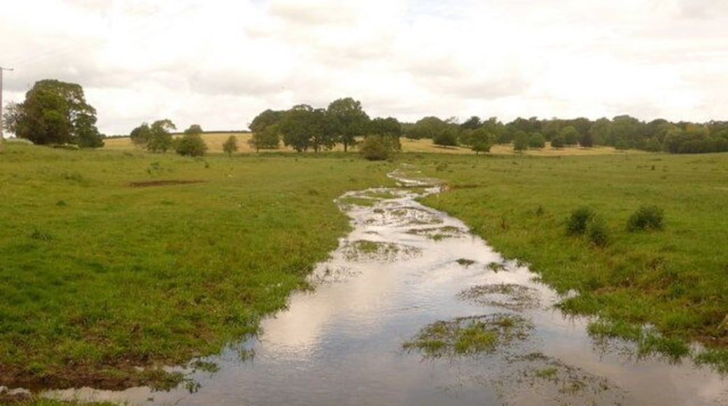 Dewlish: Devils Brook approaches Crawthorne The stream has flowed through Dewlish and the Dewlish House grounds, and here approaches the road-bridge at Crawthorne Farm.