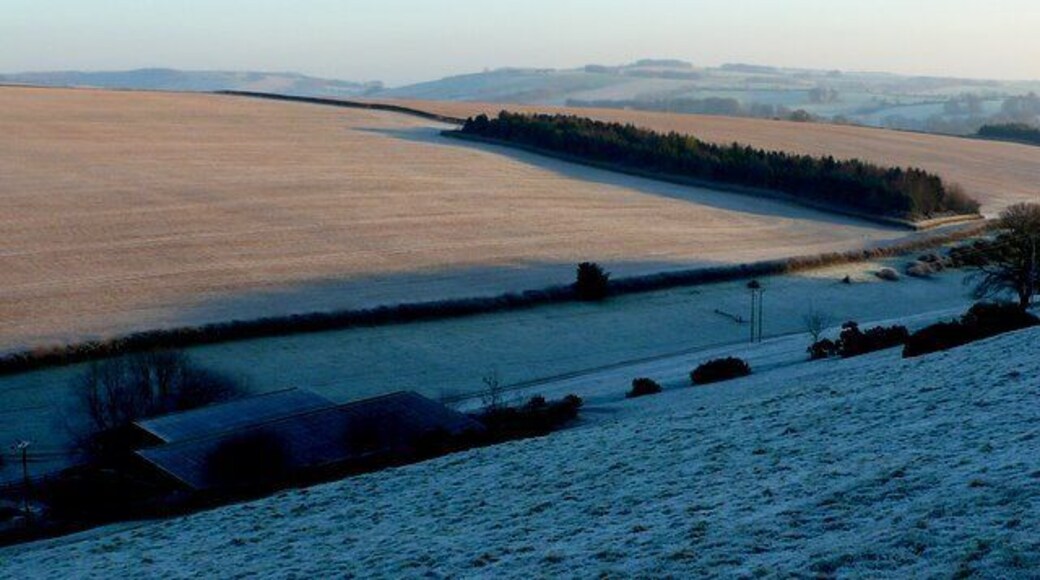 Kingrove Bottom View east down the valley towards Piddletrenthide on the west side of the piddle valley.